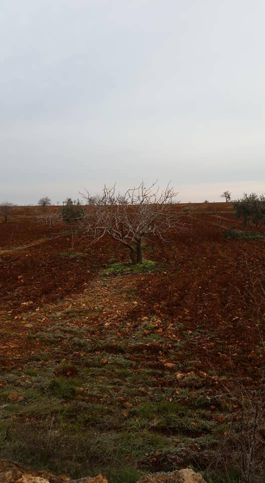 Birecik Damlıca Köyü 9