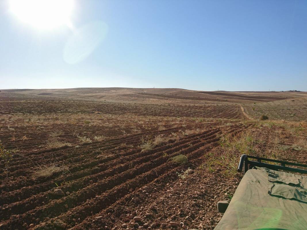 Birecik Dışlık Köyü 7