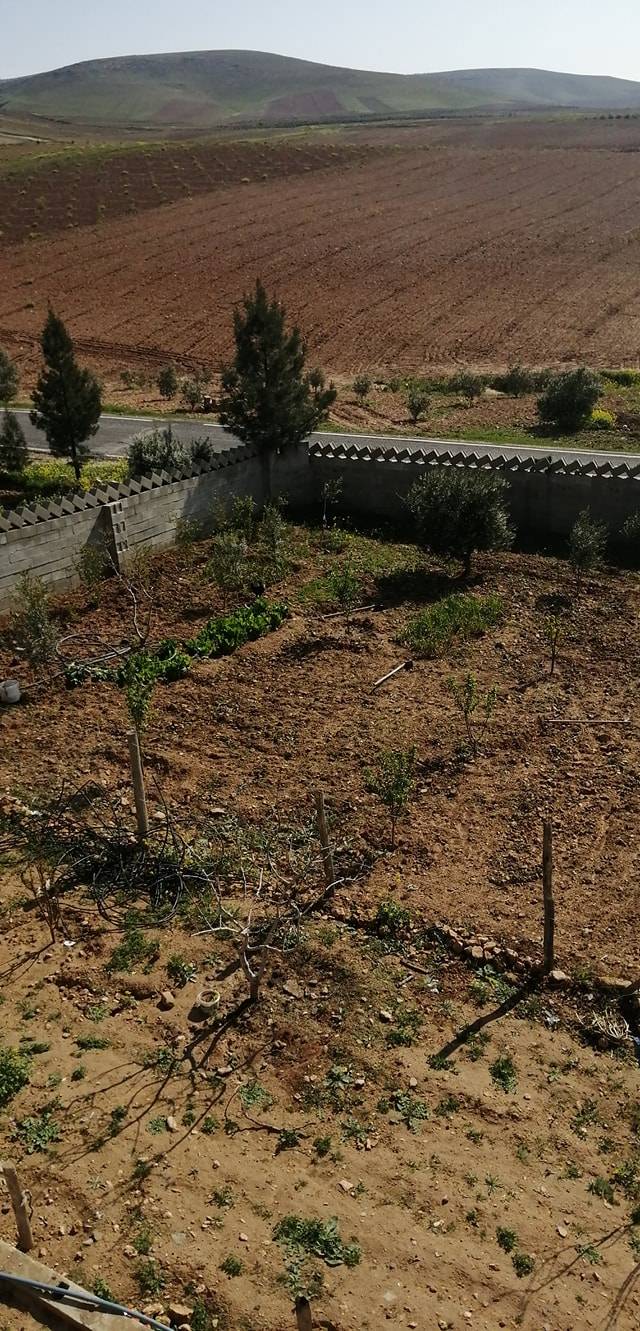 Birecik Divriği Köyü 10