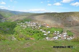 Adaklı Doğankaya Köyü 1