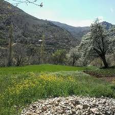 Genç Binekli Köyü Resimleri 2