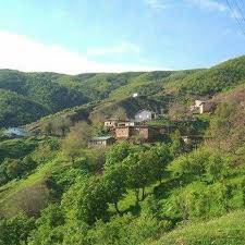 Genç Çamlıyurt Köyü Resimleri 2