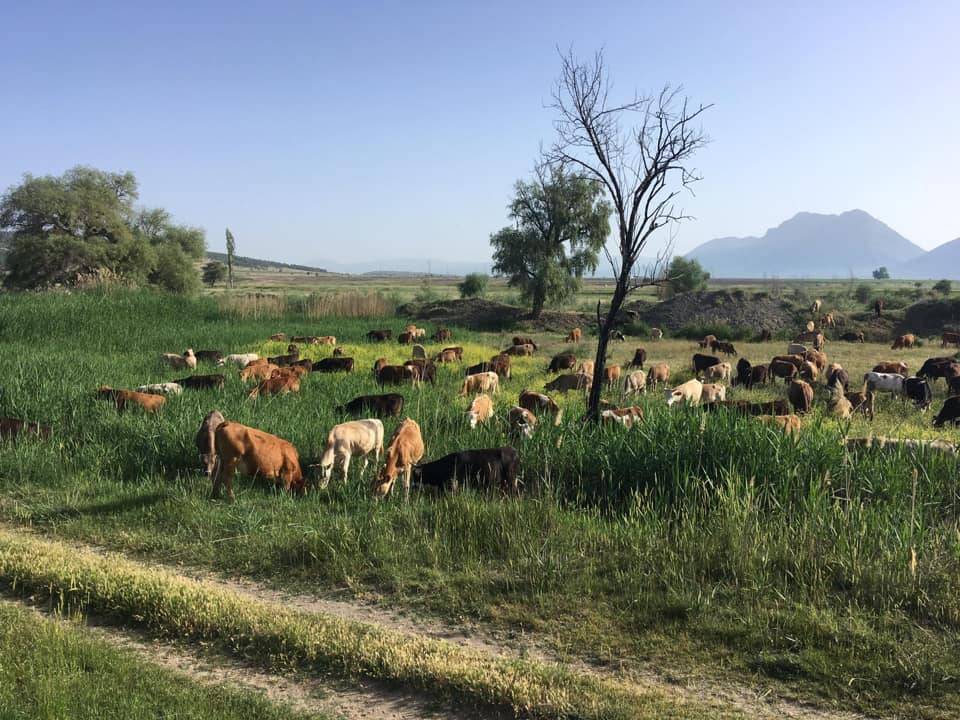 Genç Dedebağı Köyü Resimleri 1