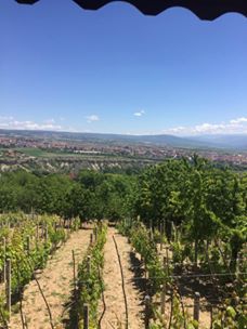 Karabük Bulak Köyü Resimleri 5
