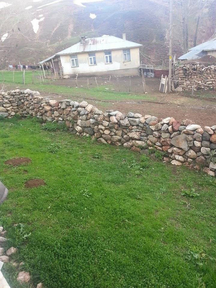 Karlıova Harmantepe Köyü Resimleri 2