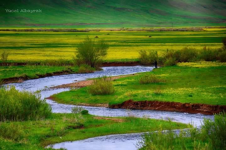 Karlıova Hasanova Köyü Resimleri 2