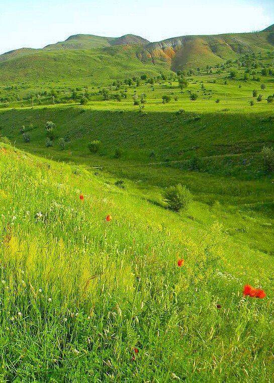 Karlıova Ilıpınar Köyü Resimleri 2