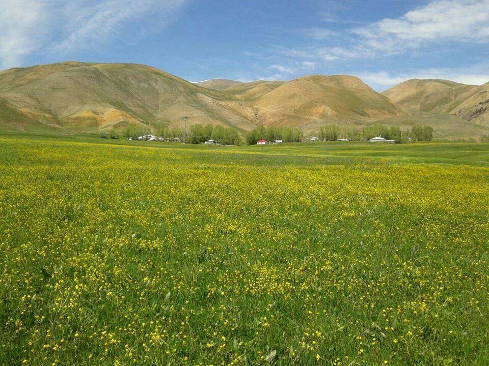 Karlıova Kaşıkçı Köyü Resimleri 3