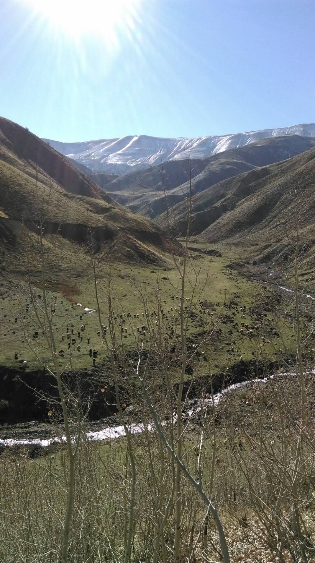 Karlıova Kazanlı Köyü Resimleri 3