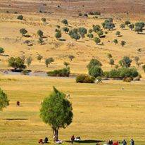 Karlıova Kıraçtepe Köyü Resimleri 3