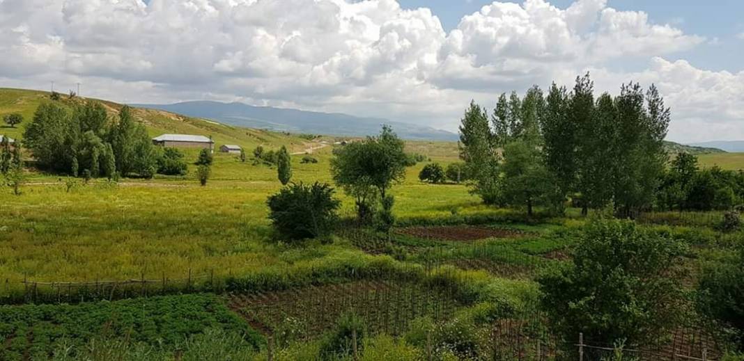 Karlıova Kızılağaç Köyü Resimleri 3