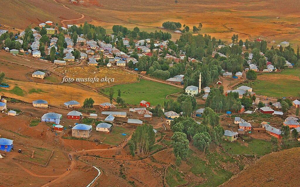 Karlıova Taşlıçay Köyü Resimleri 1