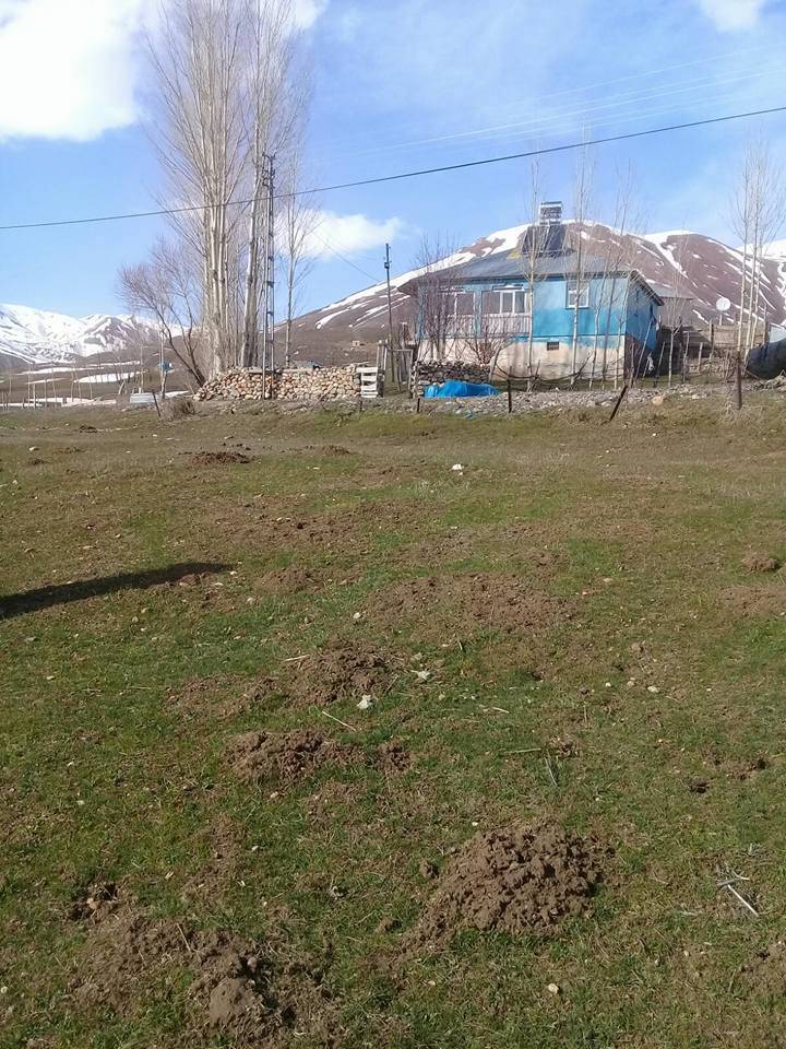 Karlıova Viranşehir Köyü Resimleri 3