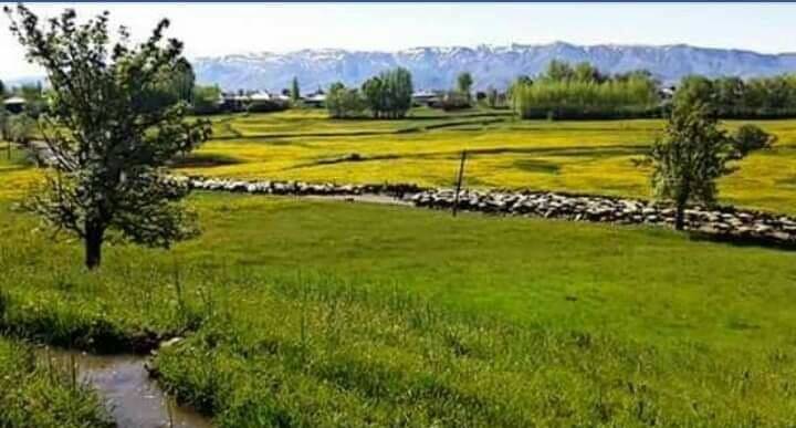 Karlıova Yiğitler Köyü Resimleri 4