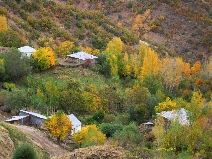 Kiğı Ağaçöven Köyü Resimleri 1