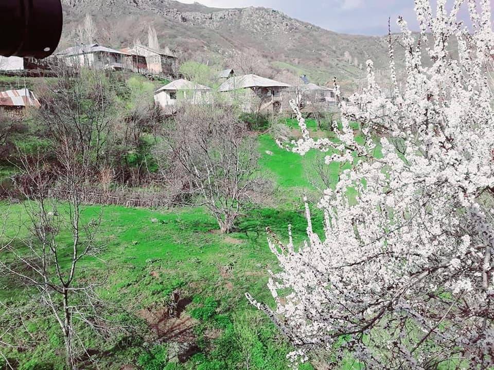 Kiğı Ağaçöven Köyü Resimleri 4