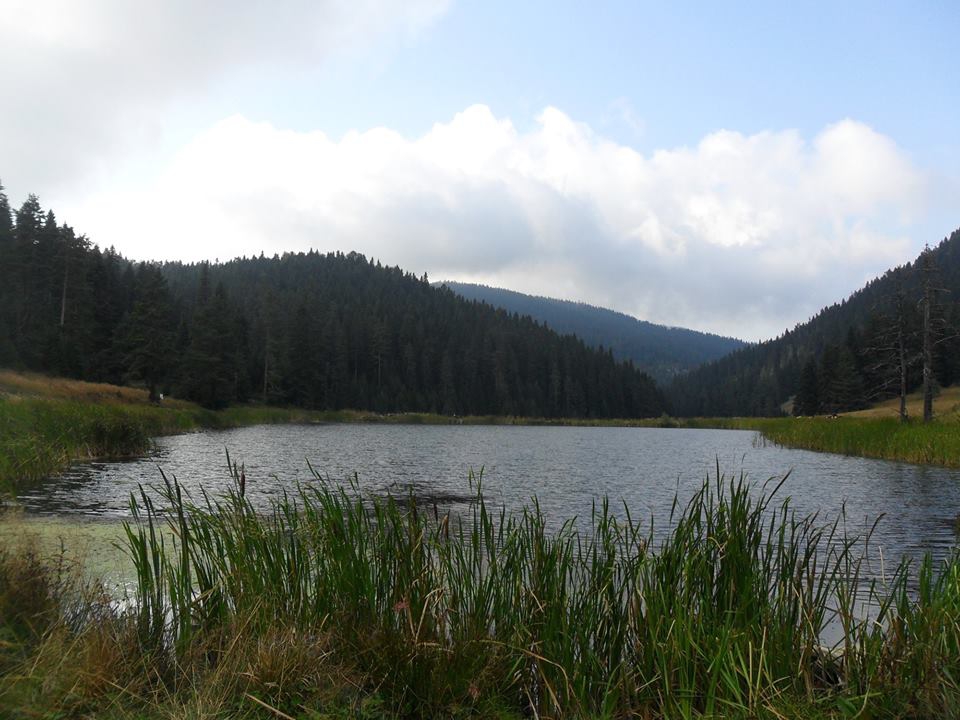 Karabük Düzçam Köyü Resimleri 1