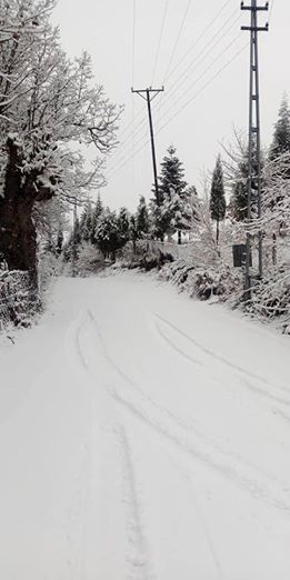 Karabük Düzçam Köyü Resimleri 3