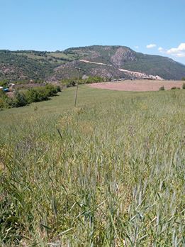 Karabük Düzçam Köyü Resimleri 6