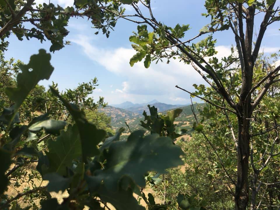 Kiğı Kuşçimeni Köyü Resimleri 3