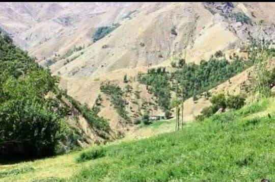 Solhan Doğuyeli Köyü Resimleri 4