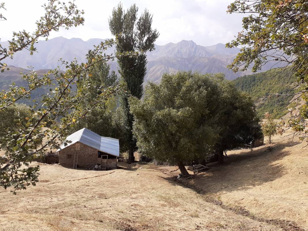 Solhan Doğuyeli Köyü Resimleri 5