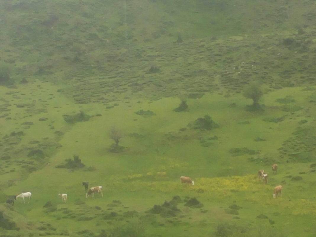 Solhan Gelintepe Köyü Resimleri 2