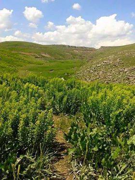 Solhan Göksu Köyü Resimleri 3