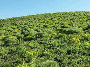 Solhan Göksu Köyü Resimleri 5