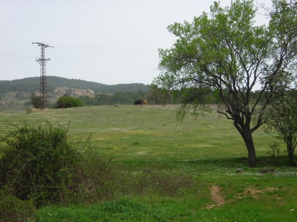 Karabük Kahyalar Köyü Resimleri 5