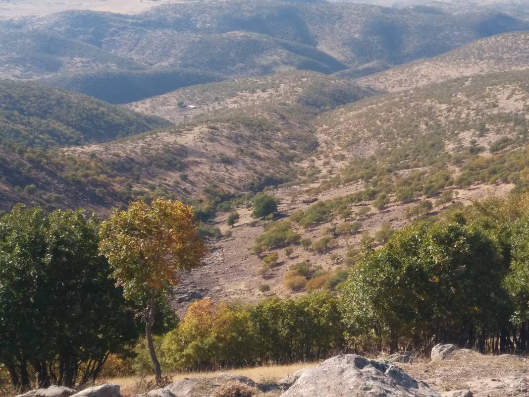 Solhan Şimşirpınar Köyü Resimleri 3