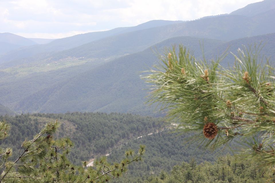 Karabük Kamışköy Köyü Resimleri 1