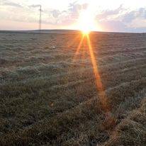 Alaca Akpınar Köyü Resimleri 4