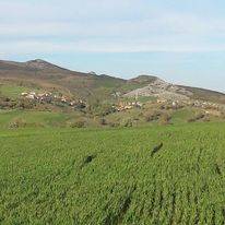 Alaca Belpınar Köyü Resimleri 1