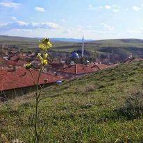Alaca Bolatçık Köyü Resimleri 8