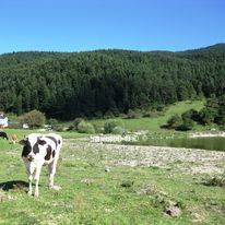 Alaca Çalköy Köyü Resimleri 4