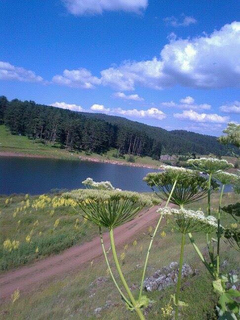 Karabük Kayacık Köyü Resimleri 1
