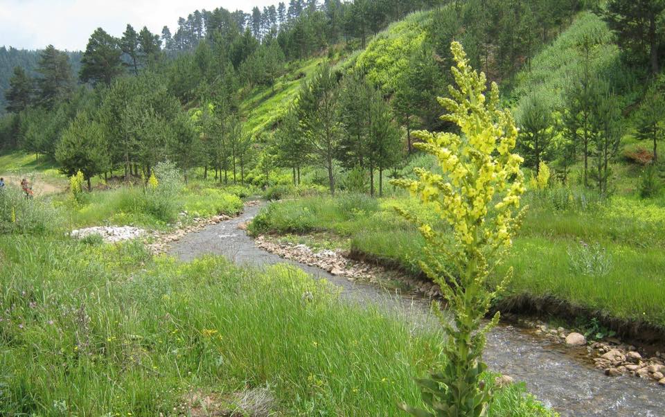 Karabük Kayacık Köyü Resimleri 3