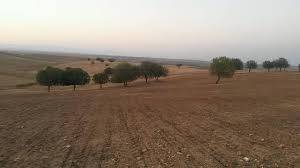 Birecik Ekenek Köyü Resimleri 8