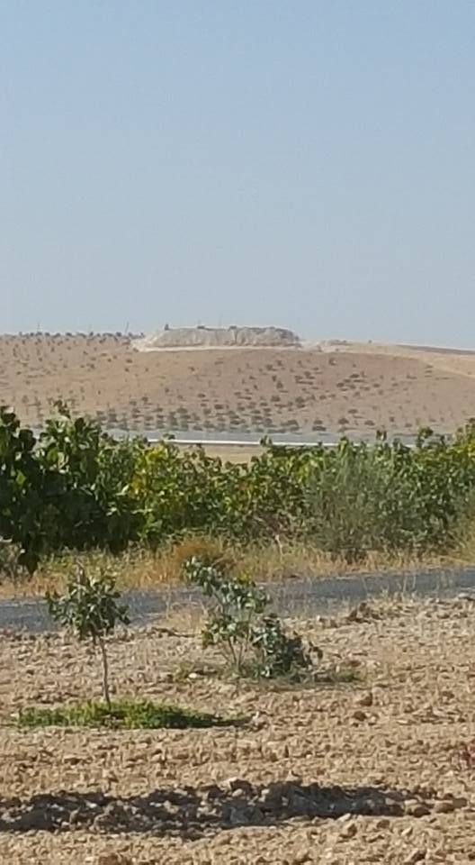 Birecik Göktepe Köyü Resimleri 5