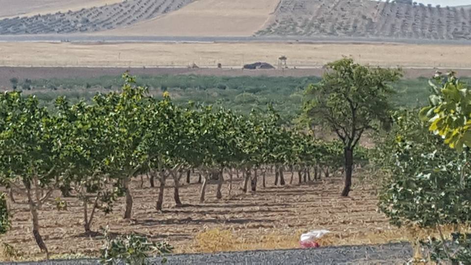 Birecik Göktepe Köyü Resimleri 7