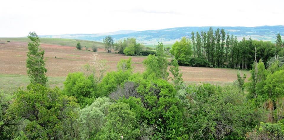 Alaca Çelebibağ Köyü Resimleri 2