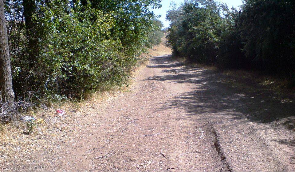 Alaca Çelebibağ Köyü Resimleri 8