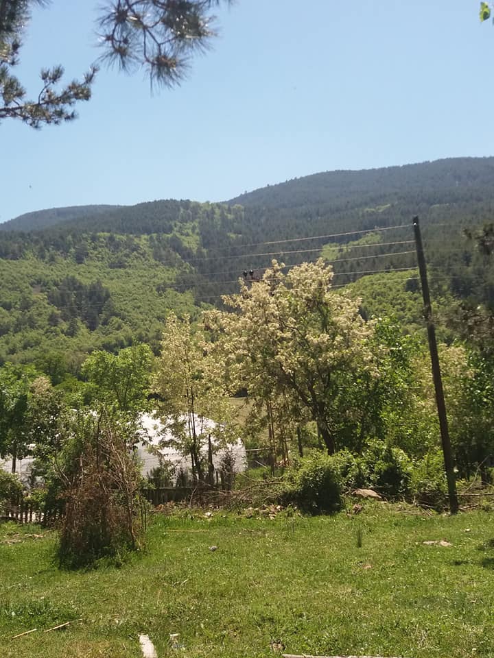 Karabük Kayı Köyü Resimleri 6