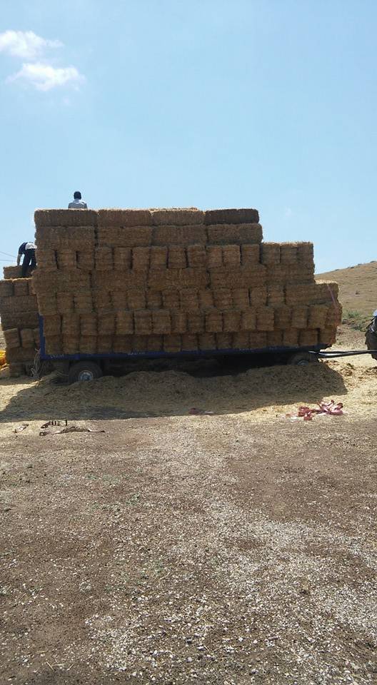 Alaca Dedepınarı Köyü Resimleri 5