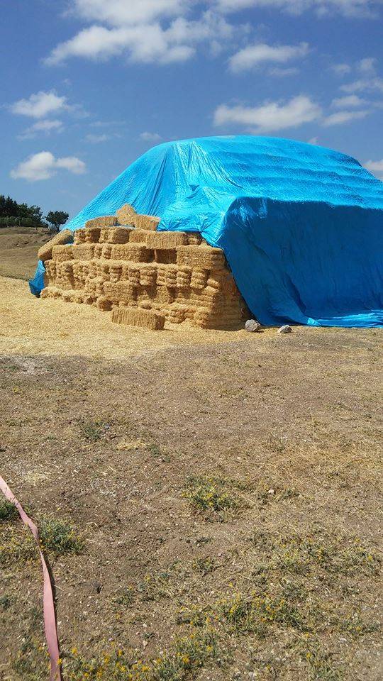 Alaca Dedepınarı Köyü Resimleri 6