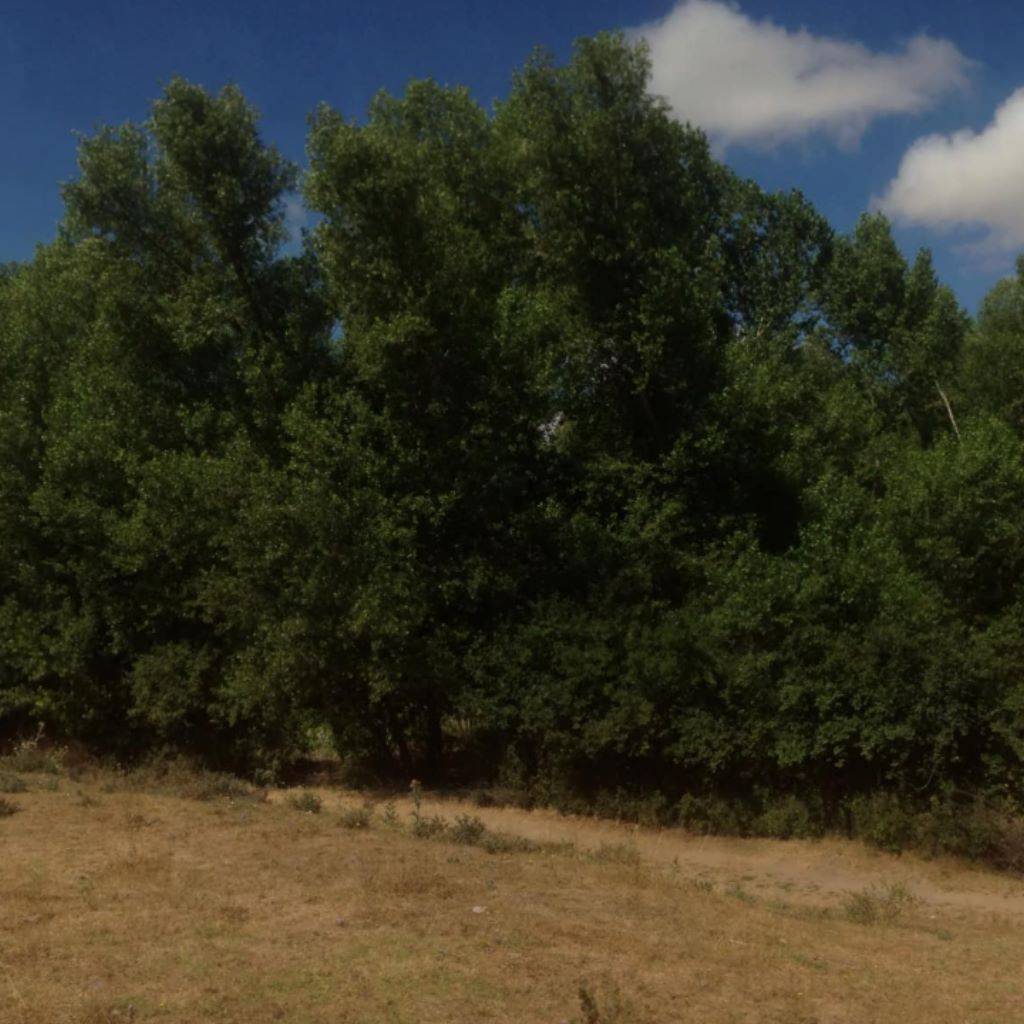 Alaca Evci Köyü Resimleri 10