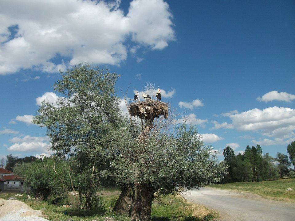 Alaca Fakılar Köyü Resimleri 1