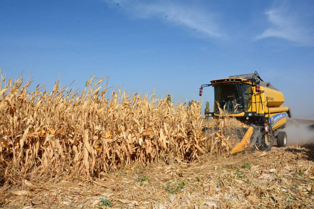 Alaca Fakılar Köyü Resimleri 6