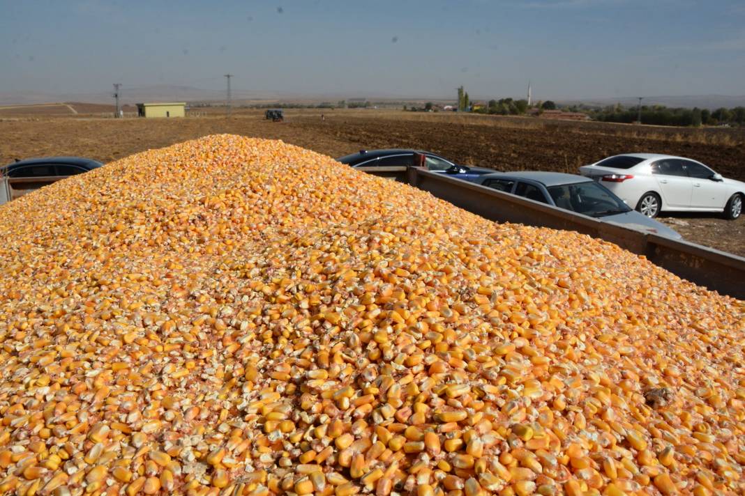 Alaca Fakılar Köyü Resimleri 7